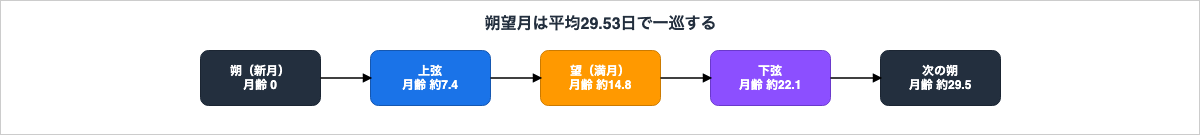 月齢0の朔（新月）から、約7.4の上弦、約14.8の望（満月）、約22.1の下弦を経て、約29.5で次の朔に戻る朔望月の推移を示した図